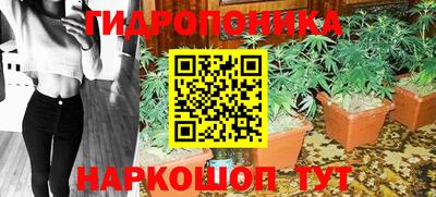 PSILOCYBIN Чапаевск