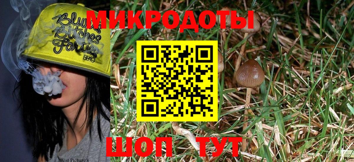 Галлюциногенные грибы Psilocybe Лыткарино