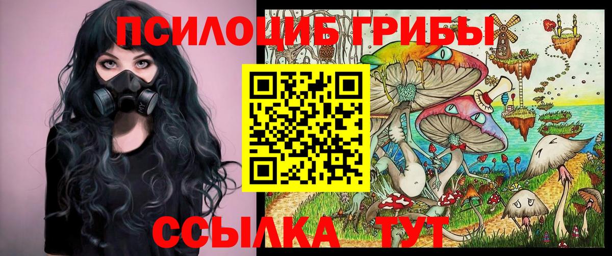 Лыткарино  Галлюциногенные грибы Cubensis  что такое   Вход с VPN 